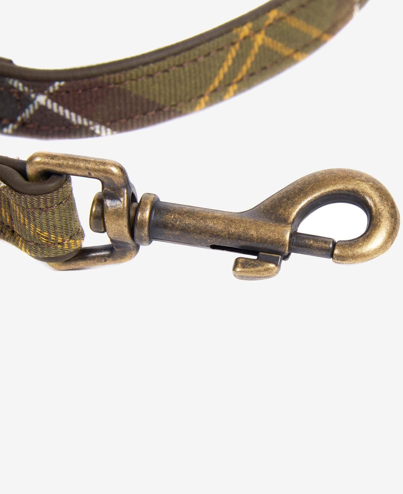 Barbour collar and lead online