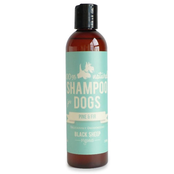 Black Sheep Organics - Pine & Fir Organic Shampoo